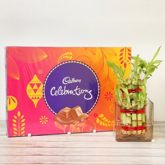 2 Layer Lush Green Bamboo